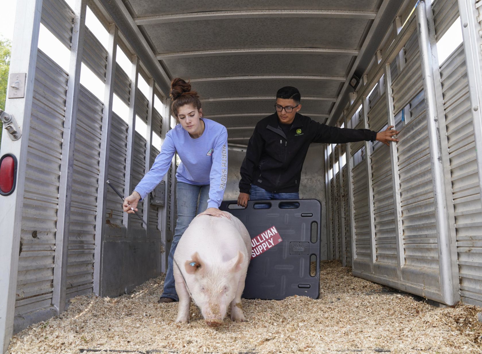 070719 Animals Arrive for Fair 16.jpg